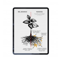 Mikoryza w ogrodzie – naturalna siła zdrowej gleby | e-book