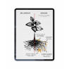 Mikoryza w ogrodzie – naturalna siła zdrowej gleby | e-book