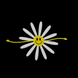 Koszulka z haftem kwiatka na piersi męska – 100 % bawełna | SUN/FUN FLOWER