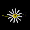 Koszulka z haftem kwiatka na piersi męska – 100 % bawełna | SUN/FUN FLOWER